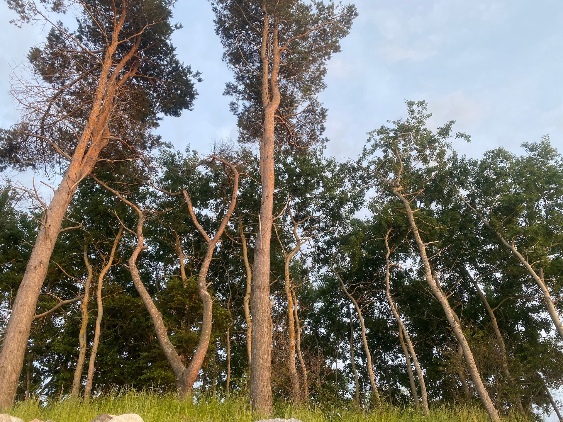 Красоты Балтики 2026 - фото 5