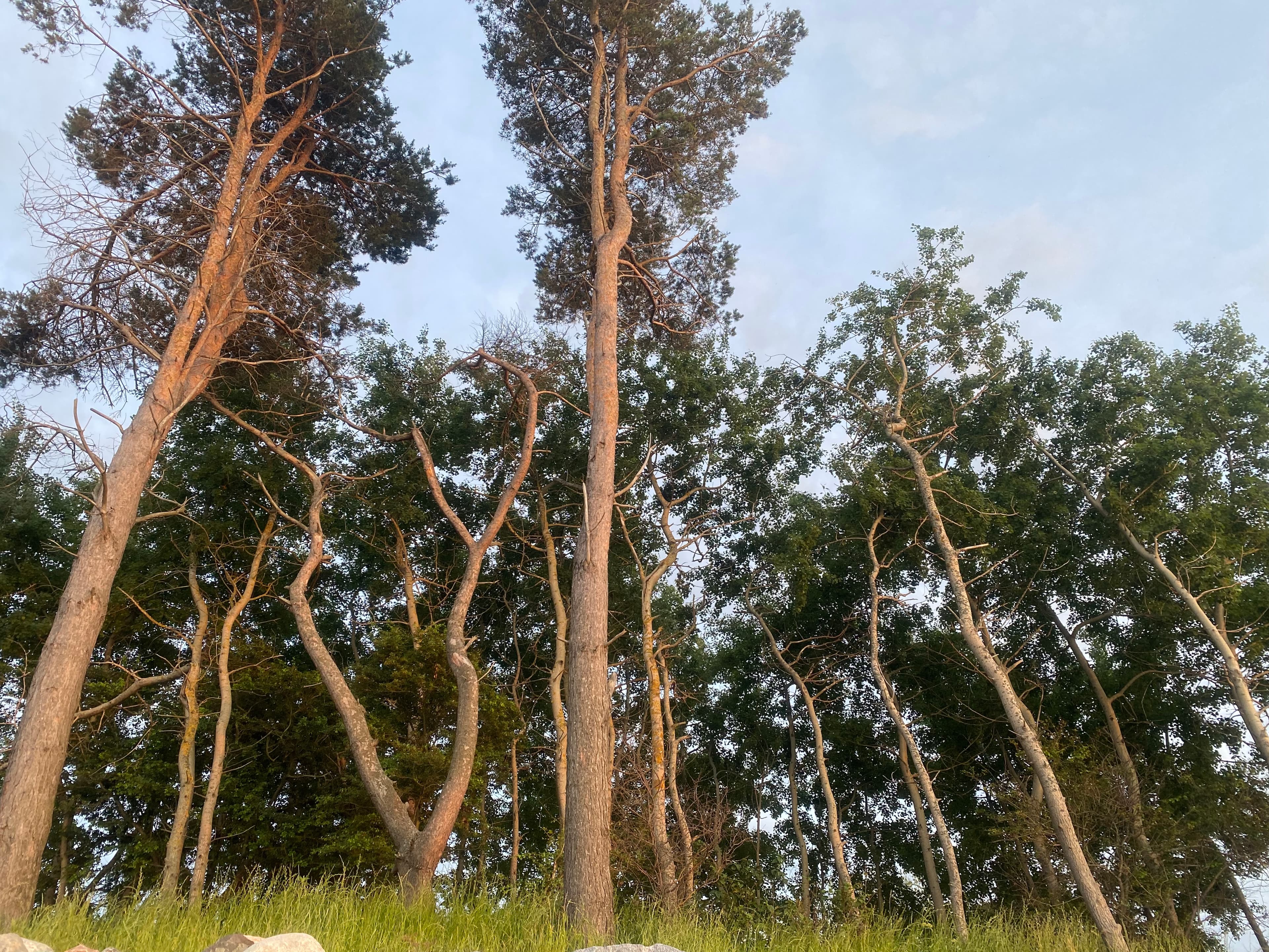 Красоты Балтики 2026 - фото 5