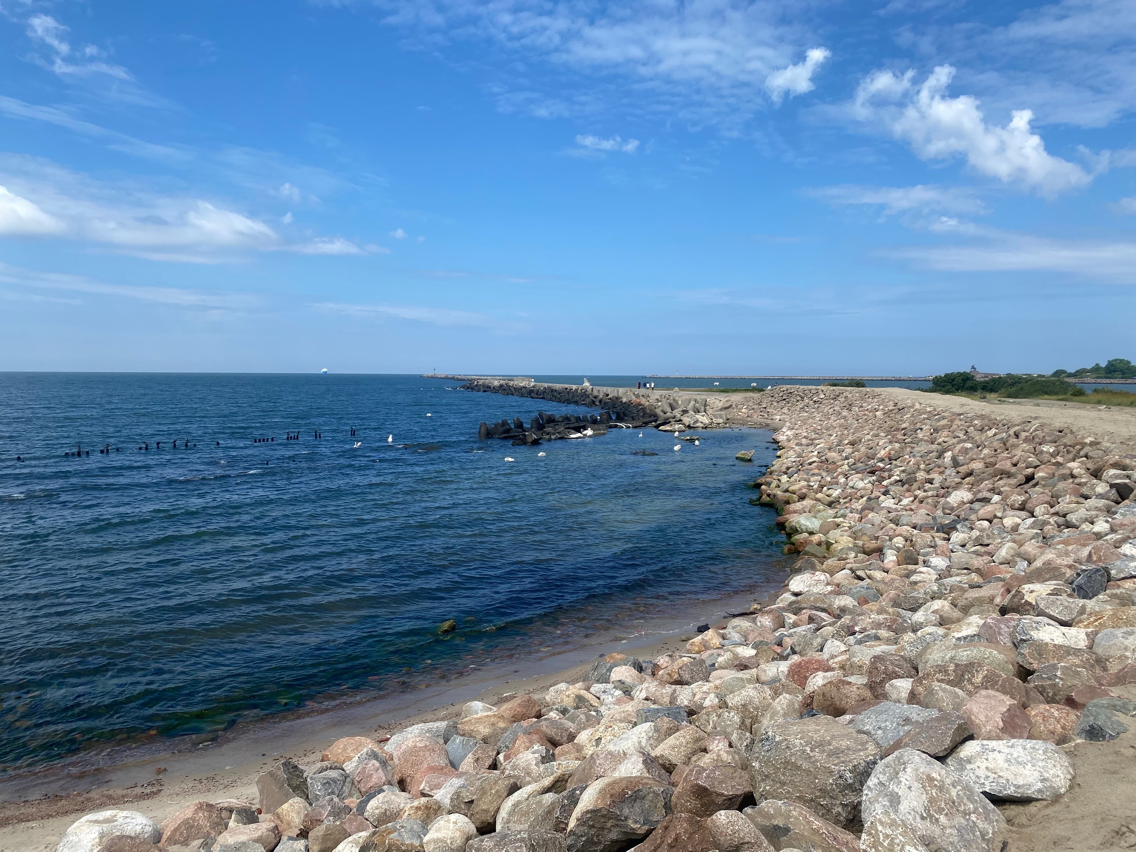 Балтийская панорама 2026 - фото 7