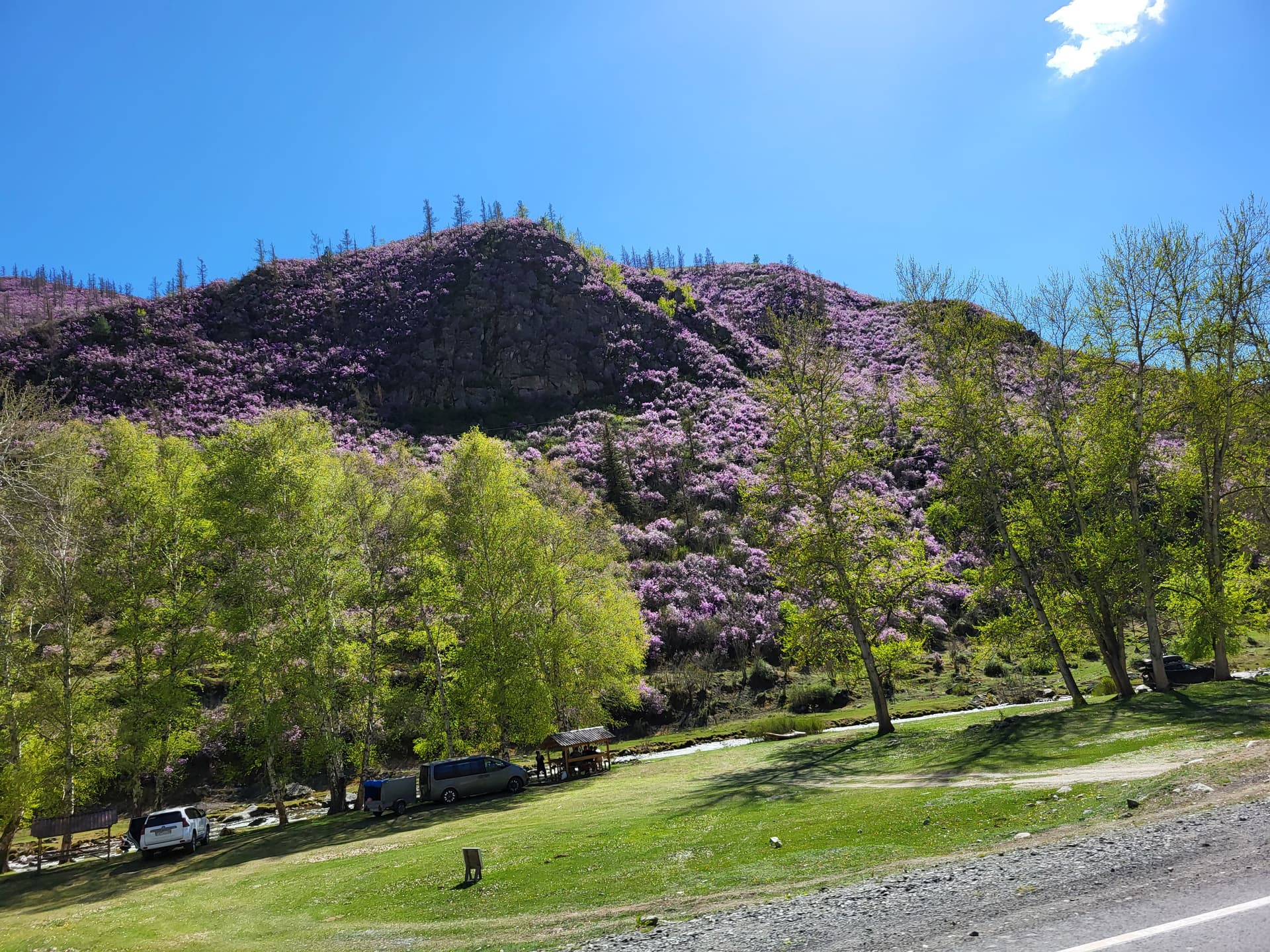 «Алтайские краски»: 3 дня среди гор и рек - фото 3