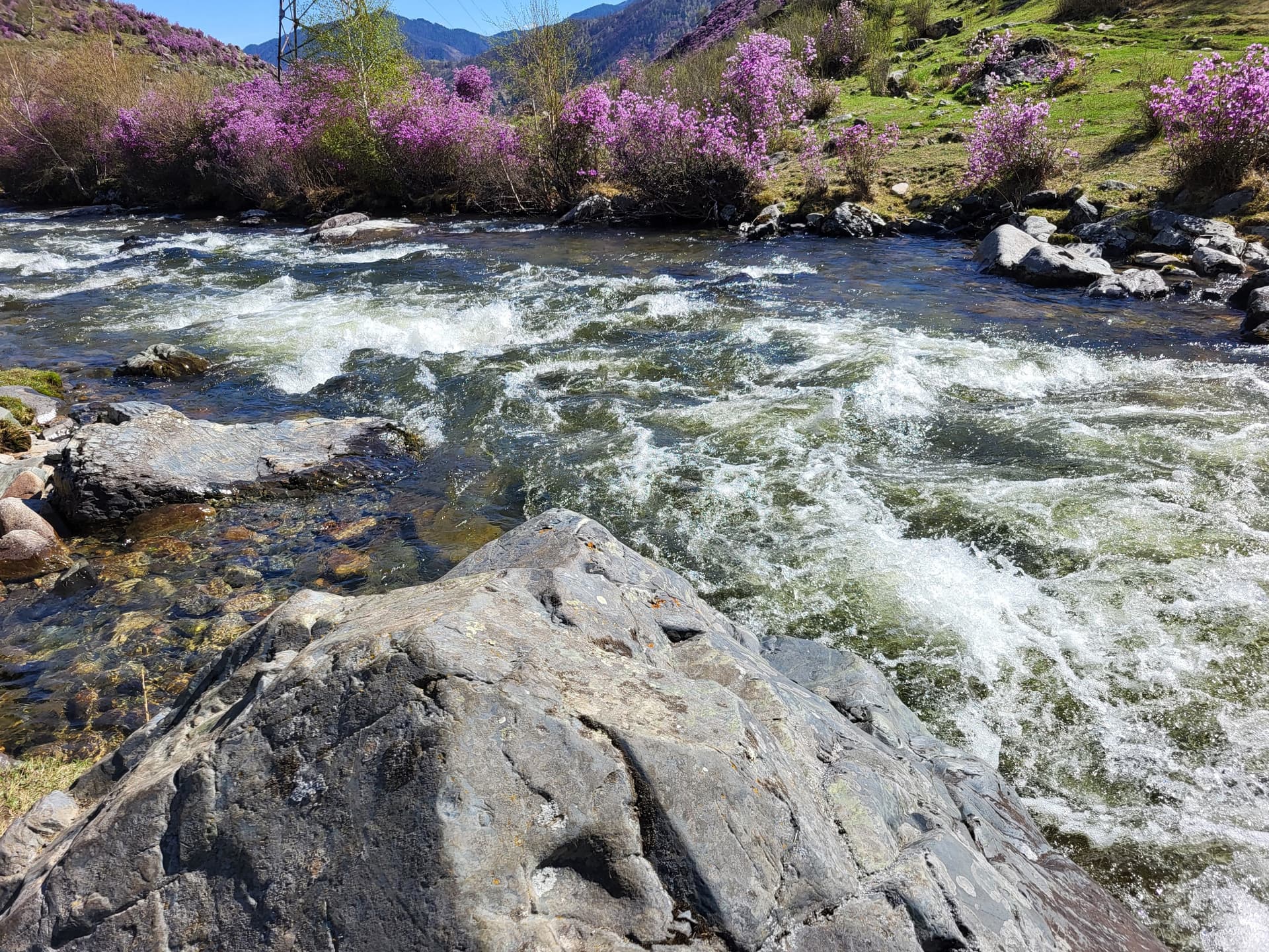 «Алтайские краски»: 3 дня среди гор и рек - фото 4