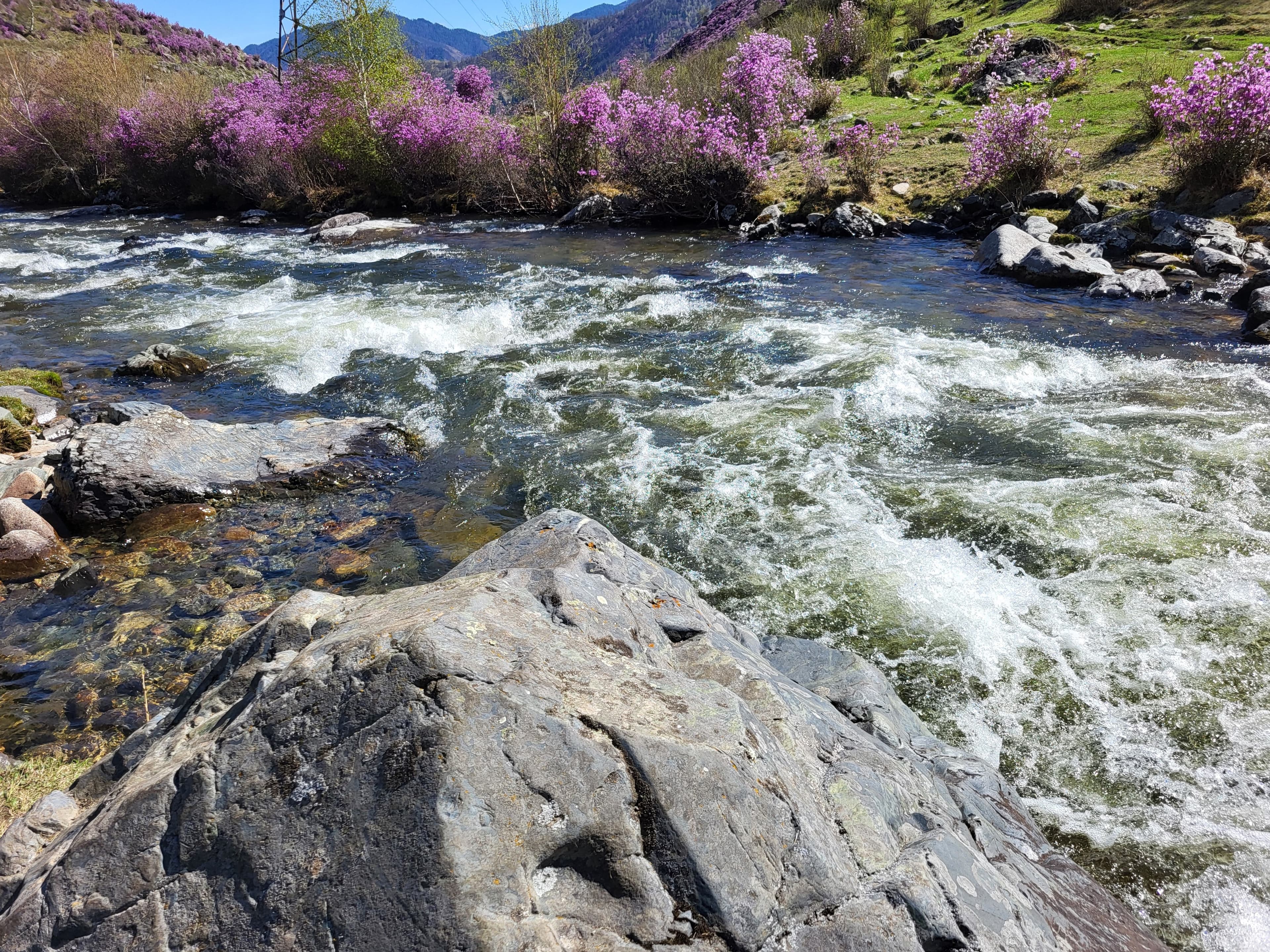 «Алтайские краски»: 3 дня среди гор и рек - фото 4