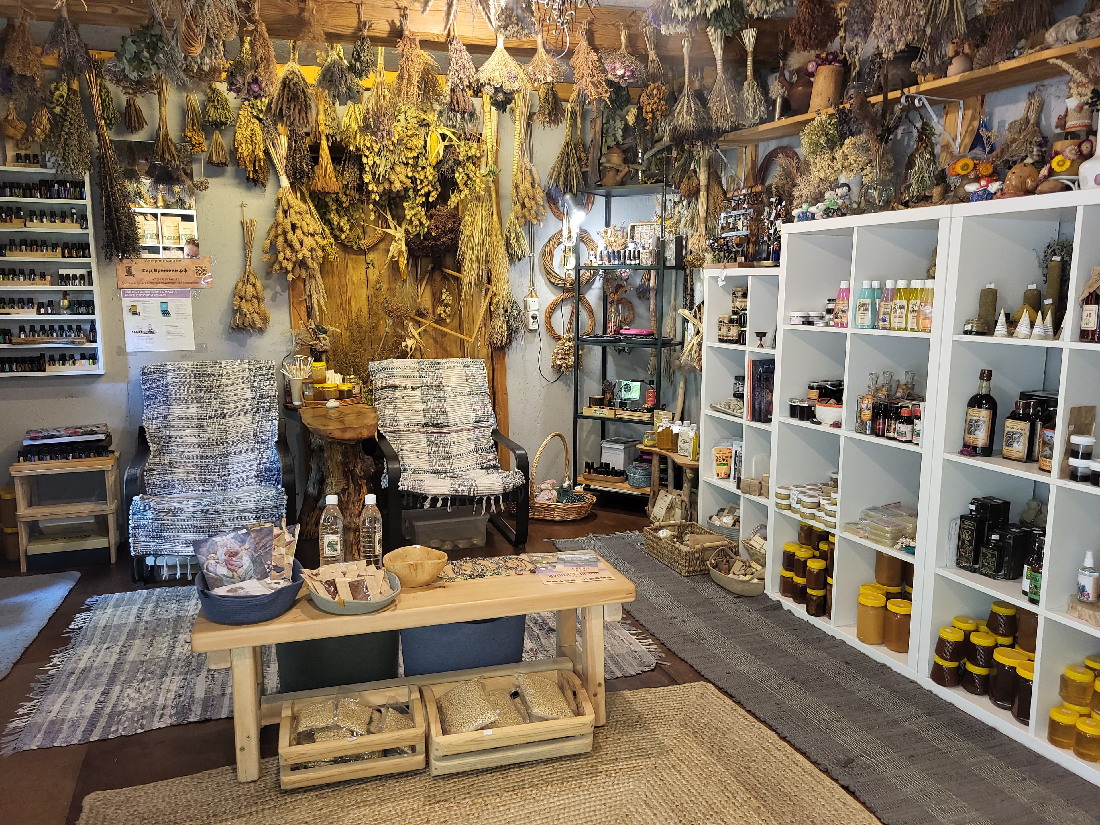 Здравствуй, Алтай!