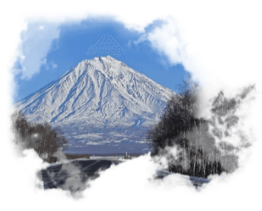 Катание на собачьих упряжках - фото 2