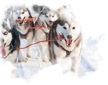 Маршрут экскурсии