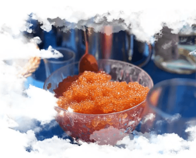 Сафари по реке на Jet boat