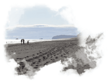 Халактырский пляж и обзорная экскурсия по Петропавловску-Камчатскому - фото 2