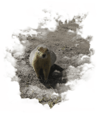 Горный массив Вачкажец - фото 7