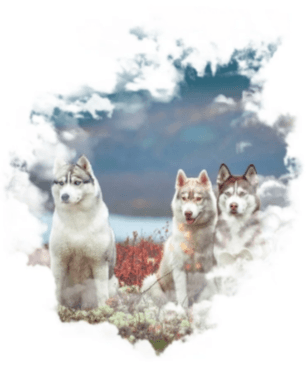 Этнографическая экскурсия - фото 4