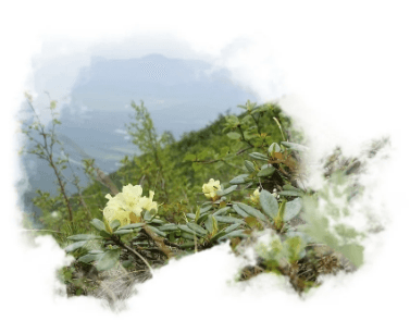 Восхождение на гору Зайкин Мыс - фото 3