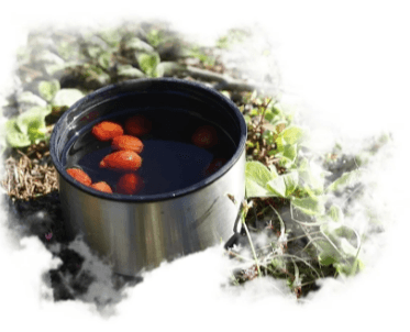 Подробное описание экскурсии