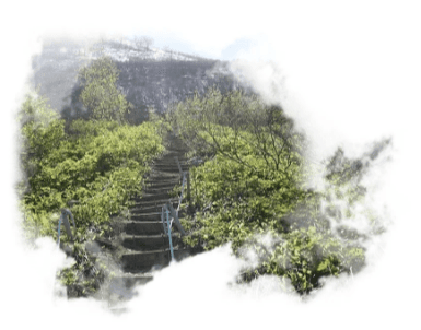 Верхне-Паратунские источники - фото 4