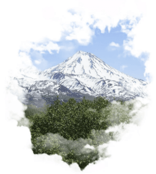 Верхне-Паратунские источники - фото 6