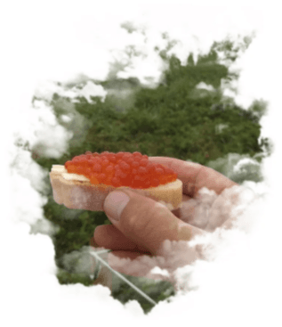 Верхне-Паратунские источники - фото 2