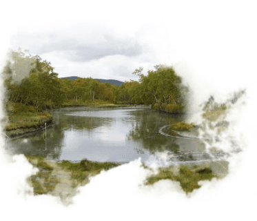 Курильское озеро - фото 5