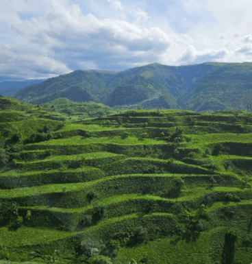 Горный Дагестан - фото 8