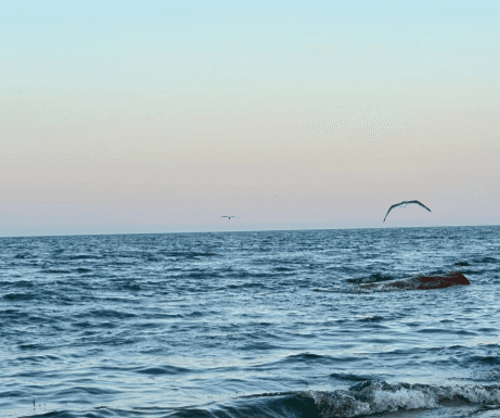 ТУР "ФИТНЕСС ТУР" - фото 3