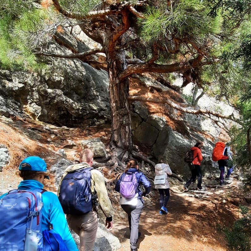 Активный тур в Крым. Горные просторы Судака - фото 8