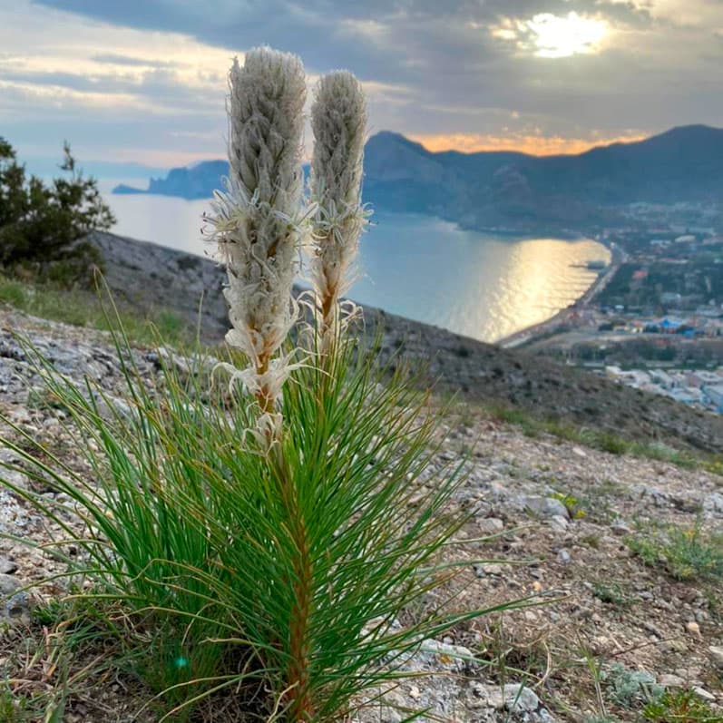 Активный тур в Крым. Горные просторы Судака - фото 3