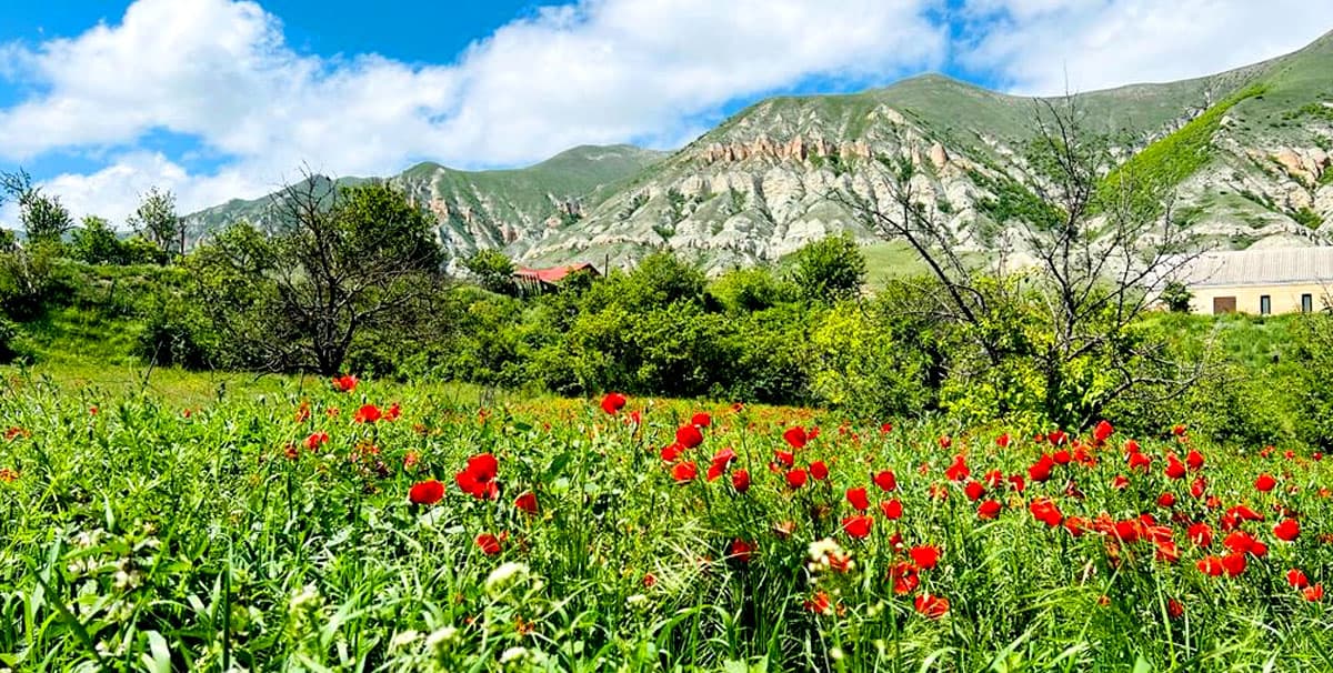 Привет, Дагестан! Бархан Сары-кум, Сулакский каньон, Чиркейское водохранилище.