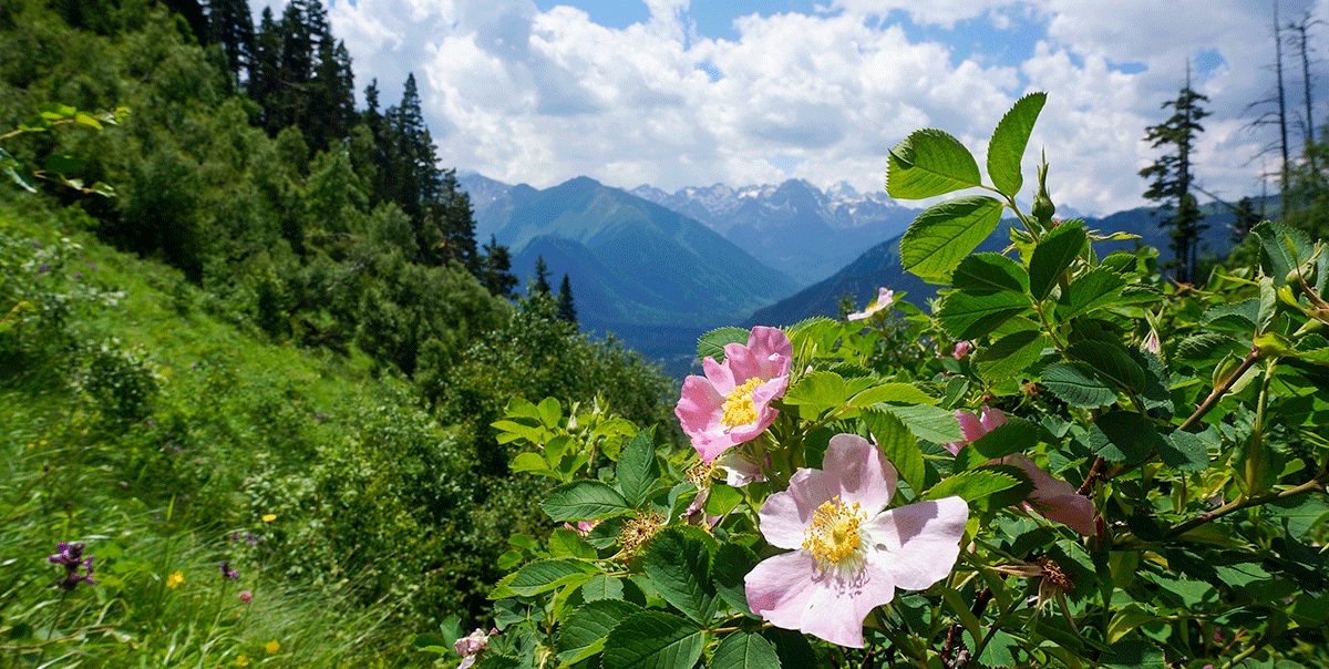 Треккинг в Архыз. Максимальное погружение - фото 4