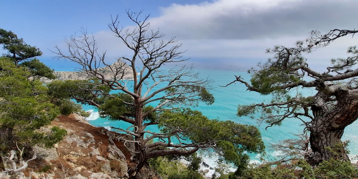 Активный тур в Крым. Горные просторы Судака - фото 4