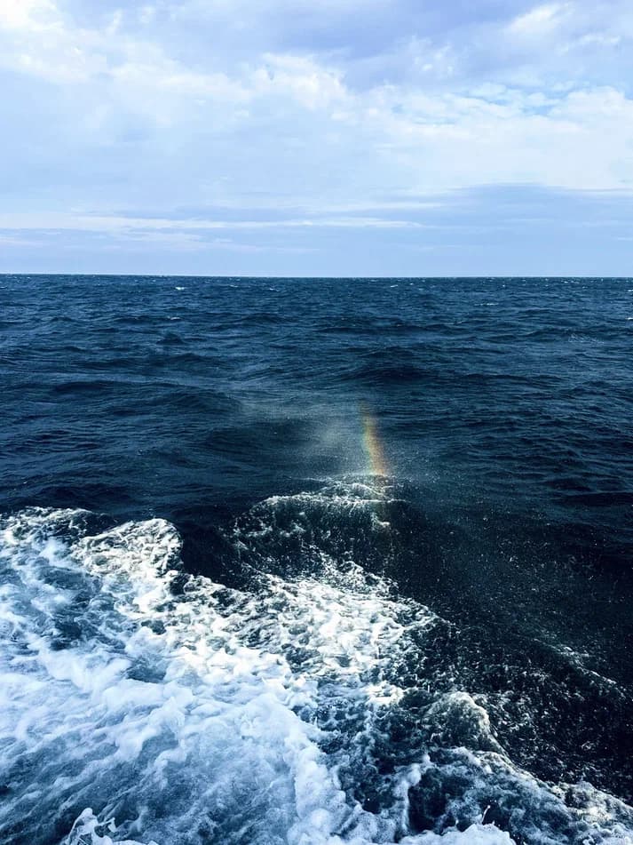 Горы. Море. Водопады: Териберка с выходом в море - фото 8