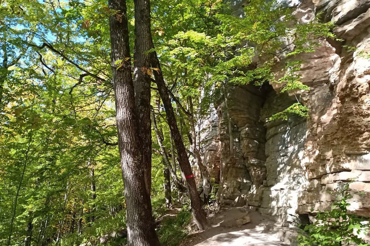 Треккинг в Мезмае. Комфорт-тур с гостиницей - фото 8