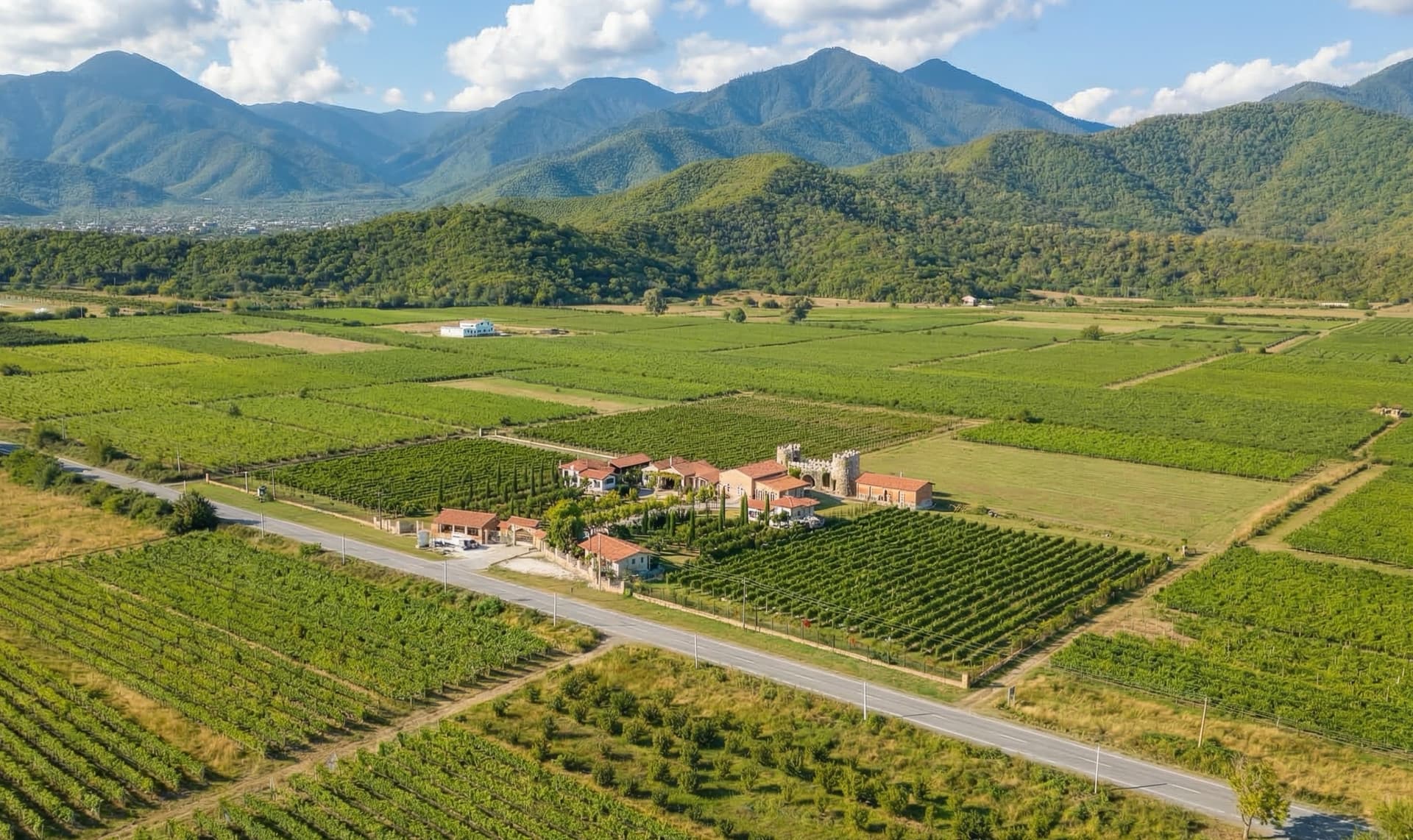 Через всю Грузию с комфортом: Тбилиси, Батуми и Кахетия - фото 4