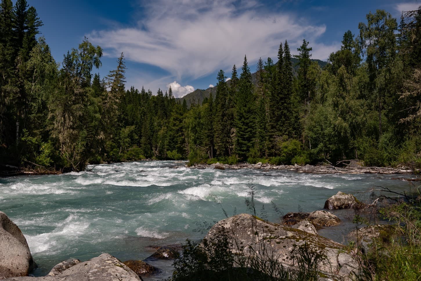 Пеший поход к Белухе с вьючными лошадьми - фото 1