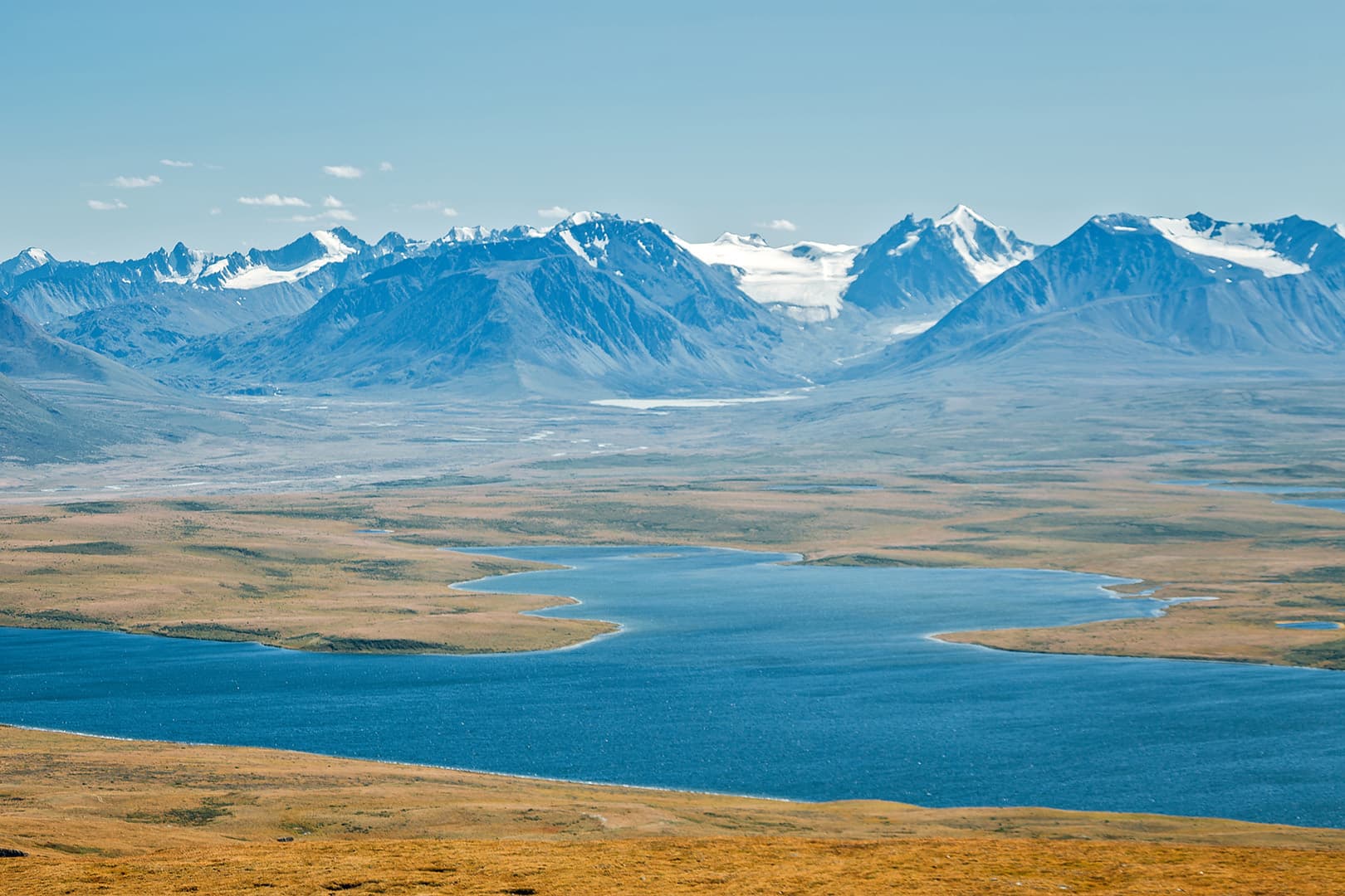 С питомцем на Укок. - фото 3