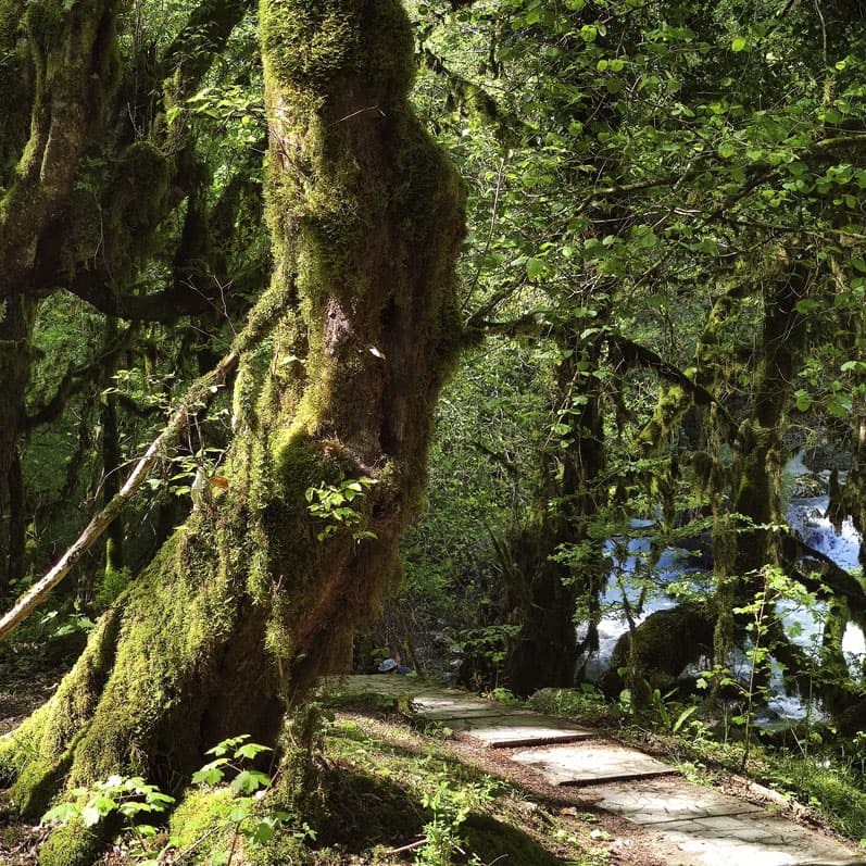 Майские праздники в Абхазии - фото 6