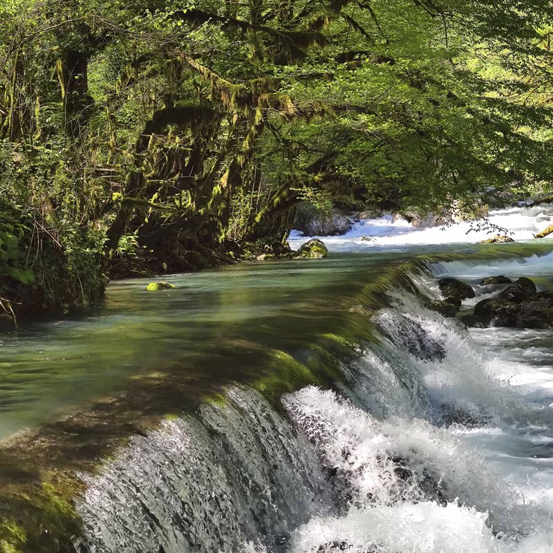Майские праздники в Абхазии - фото 10