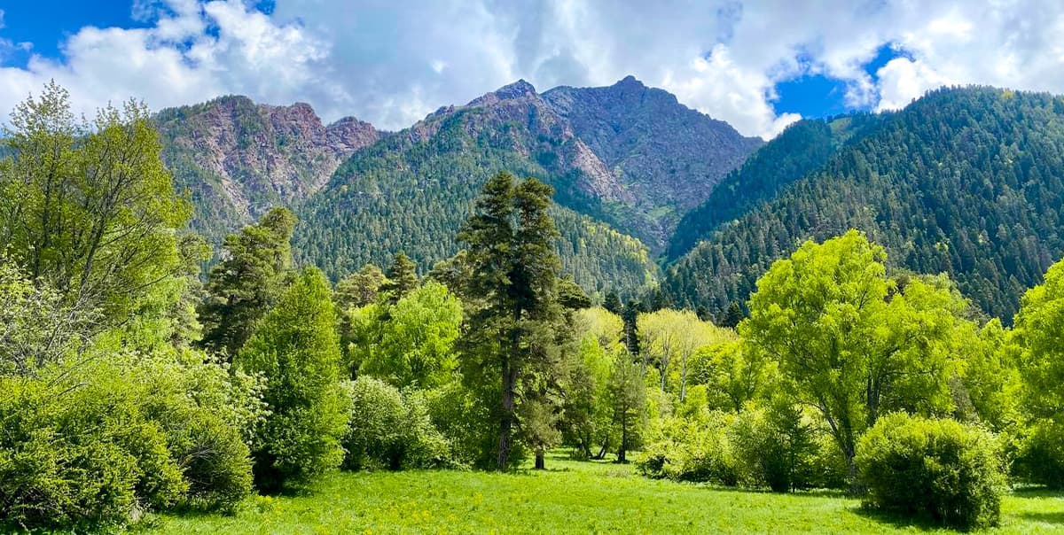 Май в Архызе - фото 4