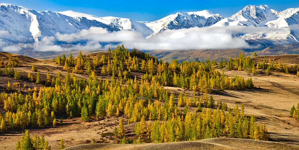 Путешествие на Алтай. 25 локаций за 8 дней - фото 6