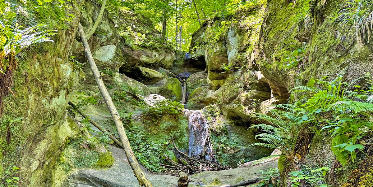 Треккинг в Горячем Ключе - фото 7