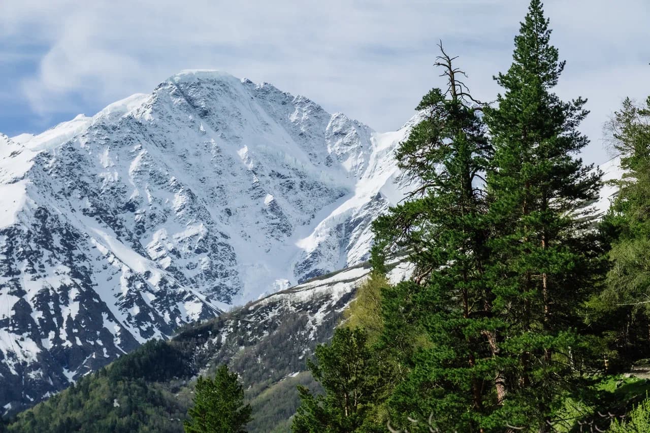 Встреча, знакомство и отдых