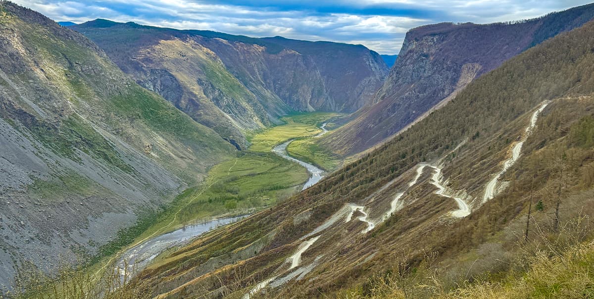 Цветение маральника на Алтае. Майские в сиреневых горах. - фото 7