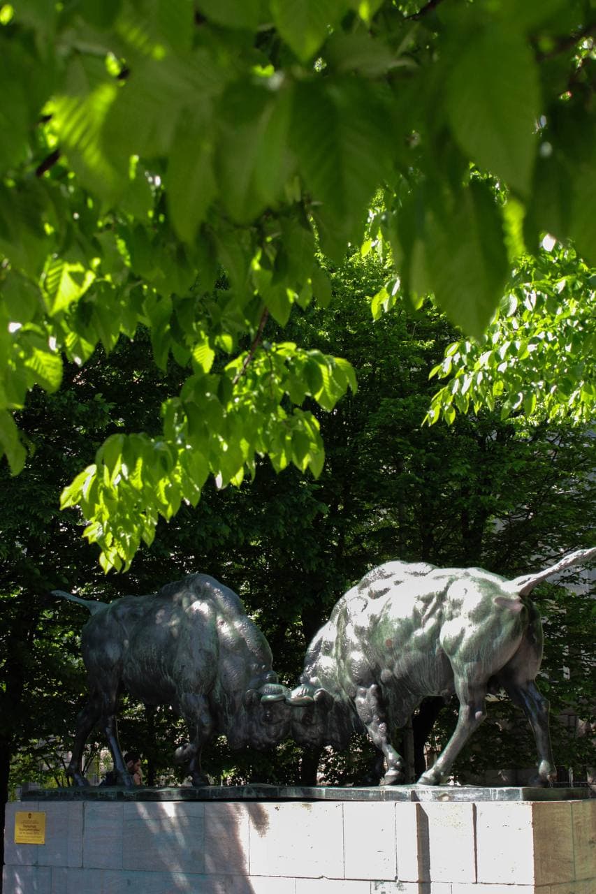 Калининград: Открытие прошлого и настоящего - фото 4