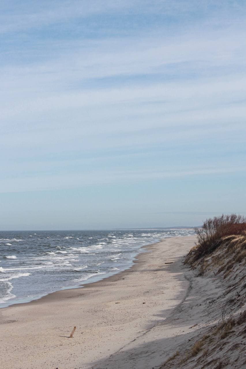 Калининград: Открытие прошлого и настоящего - фото 3