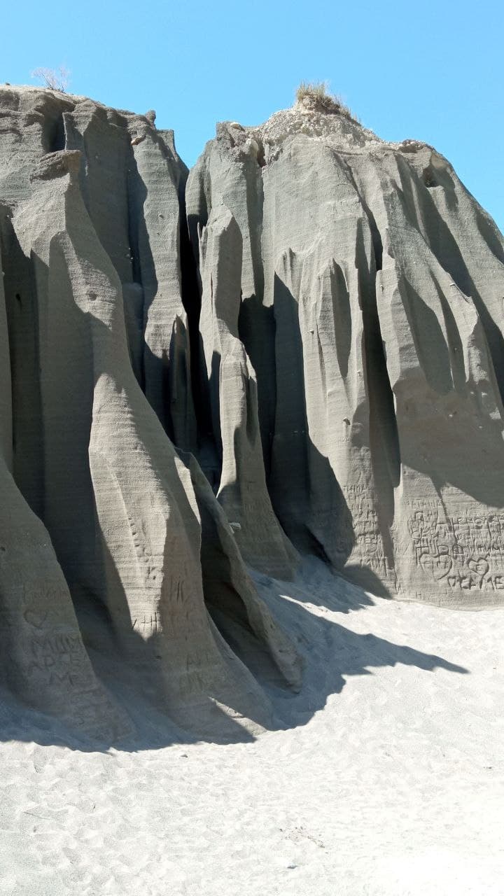 Цветение Маральника на Алтае - фото 5