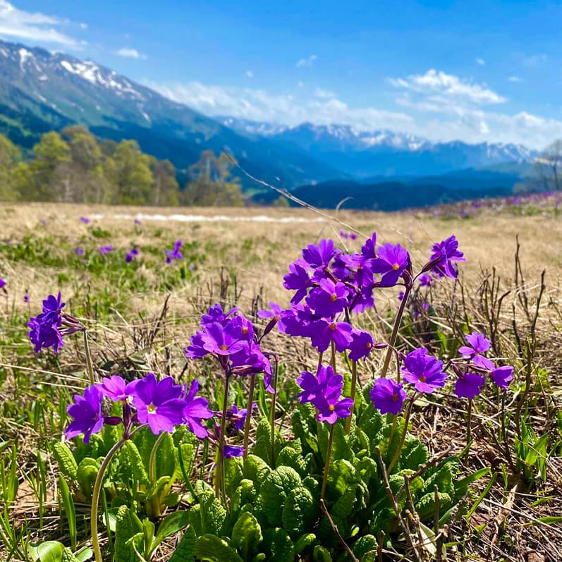 Май в Архызе - фото 10