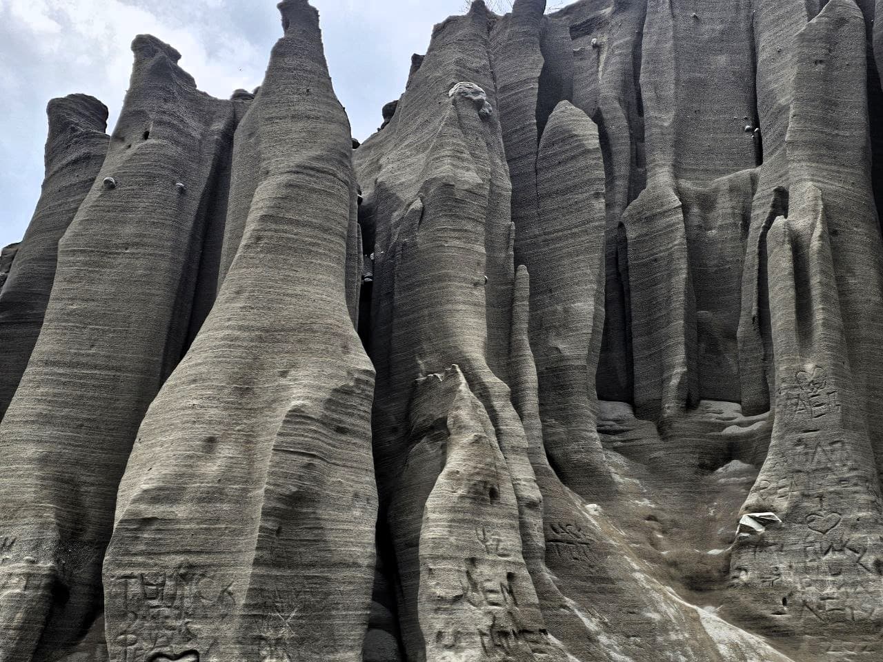 "Топ-7 красот Алтая", полное погружение в красоту - фото 10