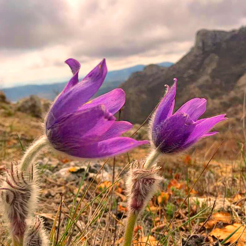 Город Судак, экотропа на мыс Алчак.