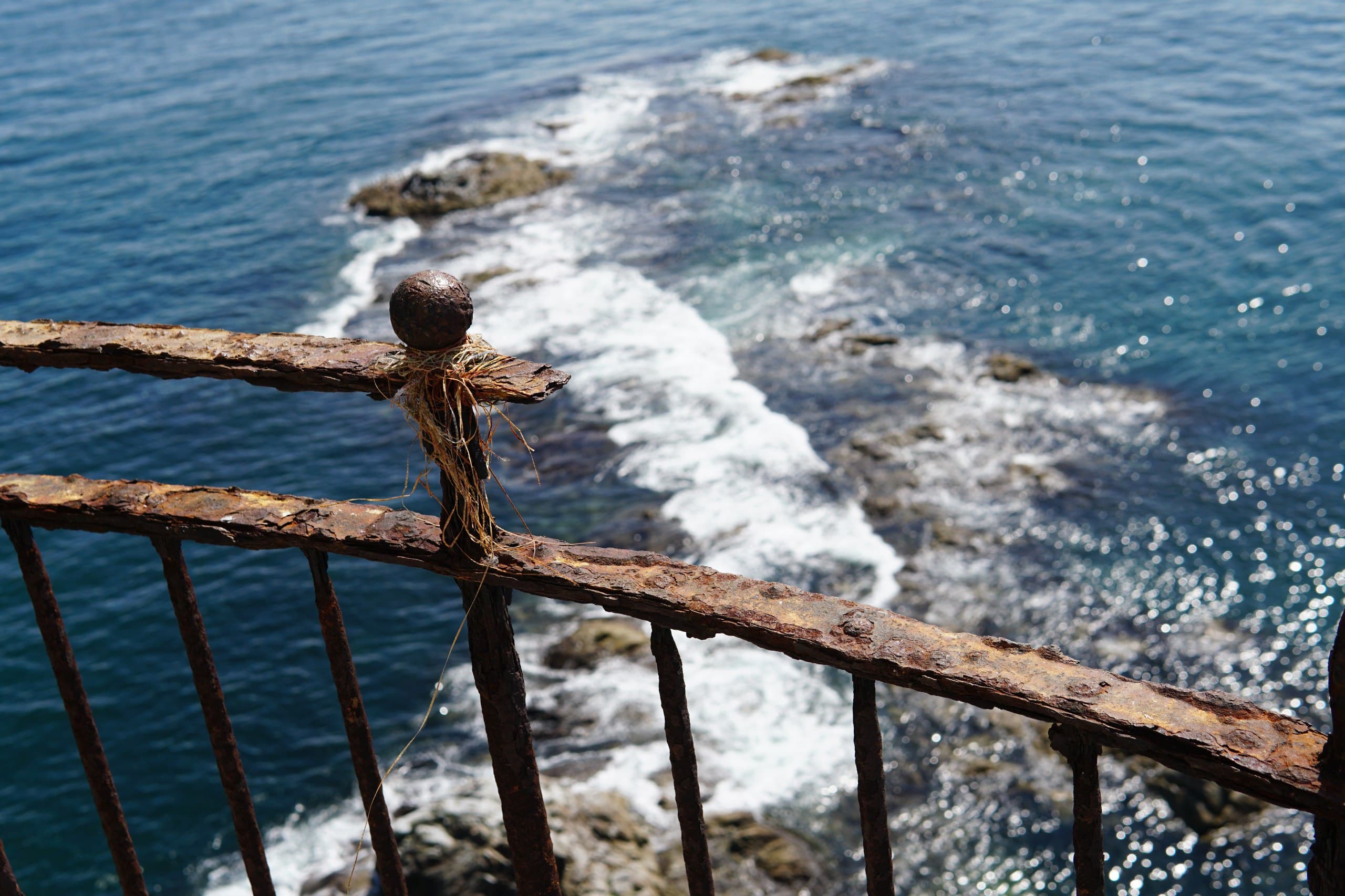 Морская прогулка на Маяк Анива - фото 10