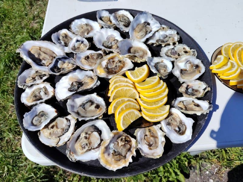 Маяк Анива и Лагуна Буссе - фото 6