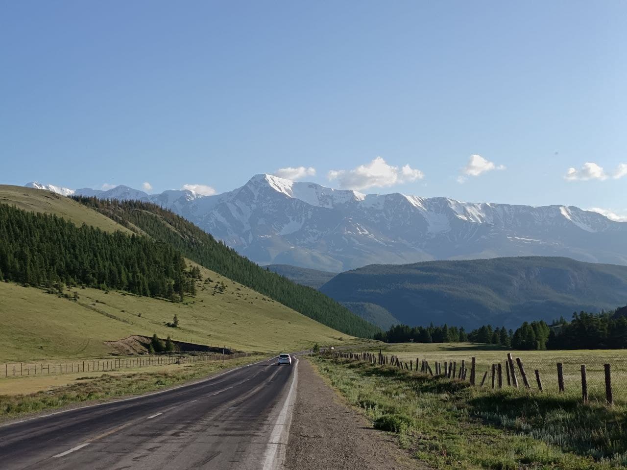 Цветущий Чуйский тракт