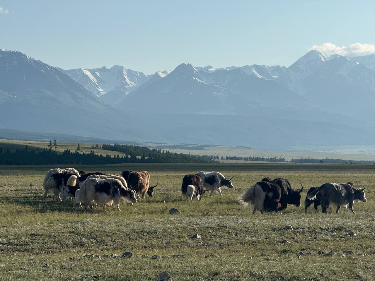 Тропы Алтая - фото 10
