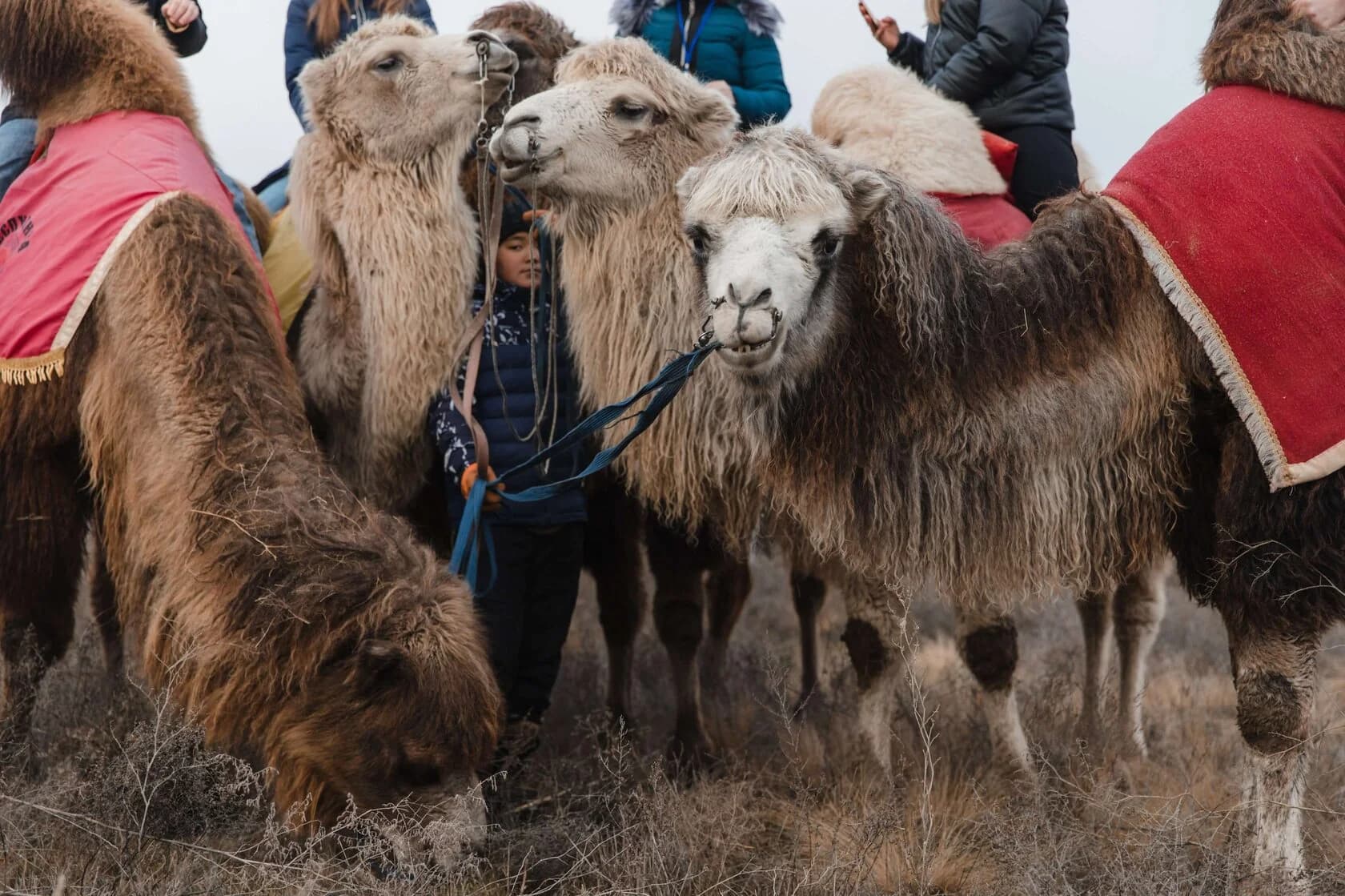 Релакс-тур «Дыхание степи» 4 дня / 3 ночи - фото 5