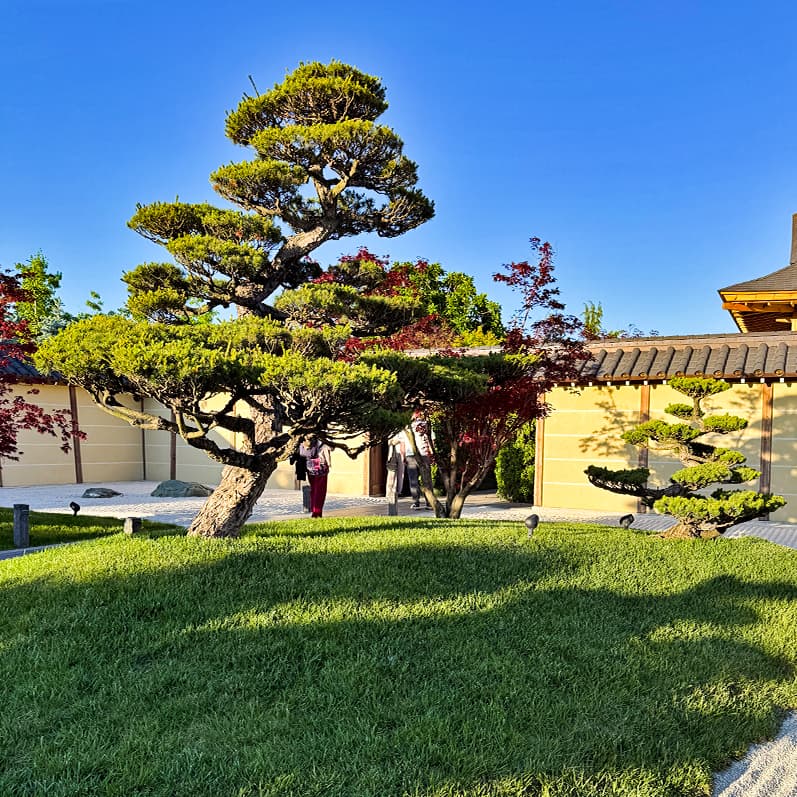 Треккинг в Горячем Ключе - фото 2